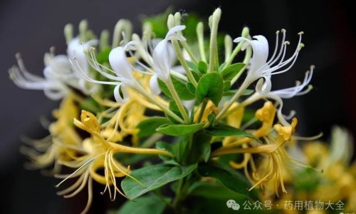 孕妇一天拉稀三次网 - 网站提供孕妇一天拉三次大便稀且多小常识、孕妇一天拉稀三次影响胎儿吗